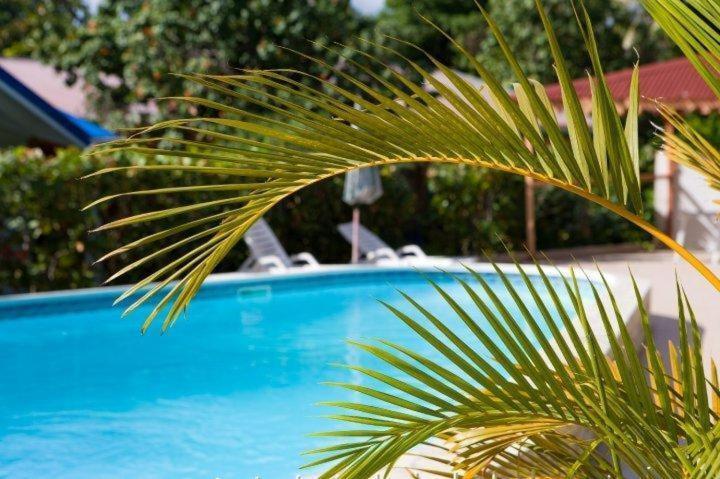 Hotel Le Rotabas Sainte-Anne  Ngoại thất bức ảnh